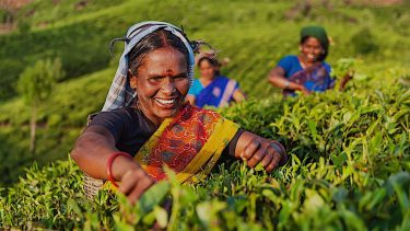 Incredible India is highlighting India's vast array of unique experiences - Image - Woman in field